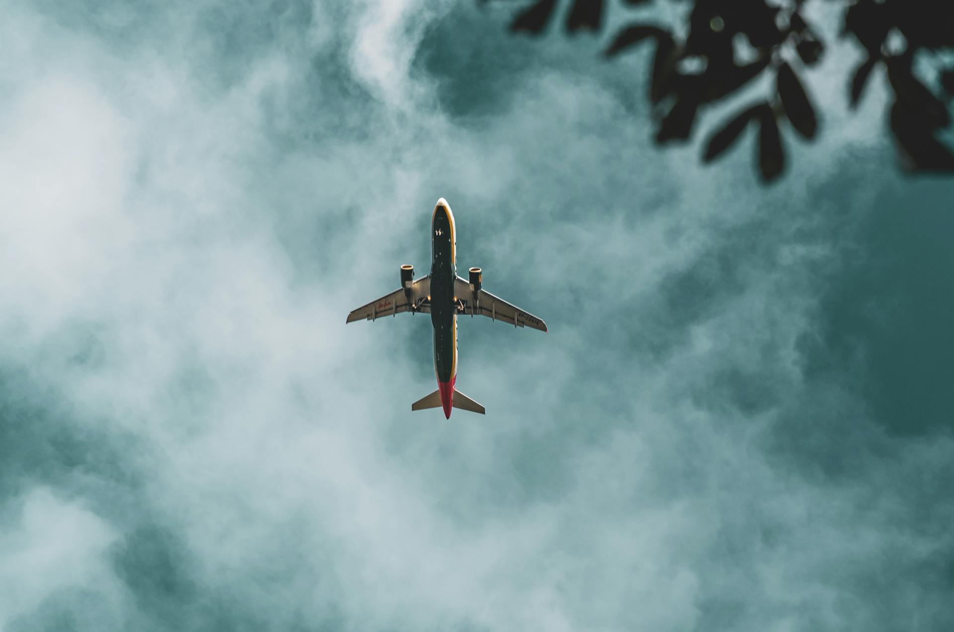 pexels-ernestbusalpa-15276439